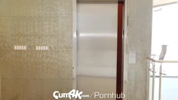 Kenzie Reeves' Desperate Creampie Delight