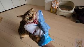 Sweetie Fox Pussycat Cosplay Licking Cock in Anime