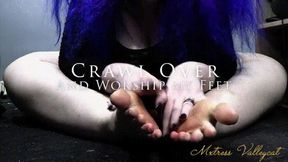 Crawl Over And Worship My Feet (wmv)