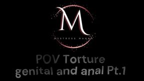 Mistress Magda - punishment genital and anal pt1