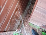 Taking a piss behind the shed in my work trousers