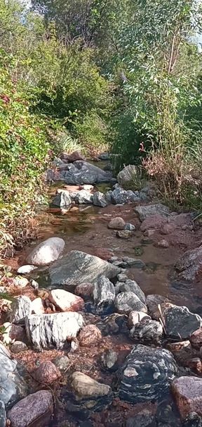 Beautiful Mature Wife and a Beautiful Outdoor Anal on the River