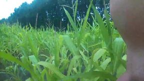 Outdoor Masturbation in Cornfield & Woods