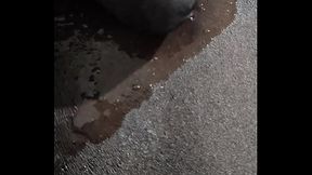 Quando eu estou com tes&atilde_o meu cacete fica todo babado que n&atilde_o precisa nem de lubrificante