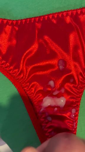Cum on Wife’s Panties 15