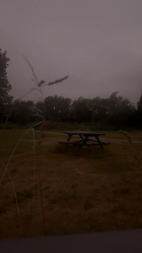 Standing naked in park on benches wanking and twerkin