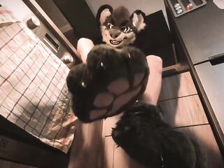 Hyena fursuiter jerks off in the kitchen (paws)