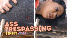 ASS TRESPASSING TINIES feat AstroDomina (FHD MP4)