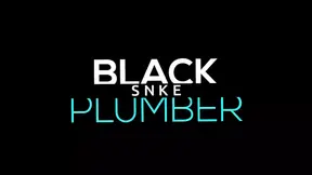 Black Snake Plumber