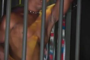 8 Inches From Brazil (two)