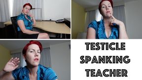 Testicle Spanking Teacher (MP4)