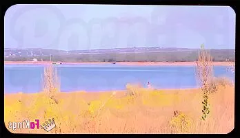 Sofia Santana's Outdoor Affair in Madrid Most viewed