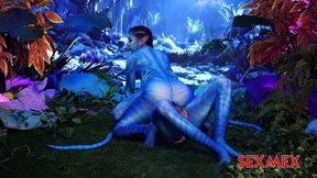 sexmex - avatar . sofi lara