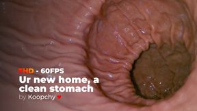 [FHD - 60FPS] - Ur new home, A clean stomach - ENDOSCOPE VORE