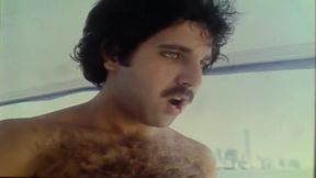 Wanda Whips Wall Street (1982, Us Full, Hd) With Veronica Hart And Chuck Vincent