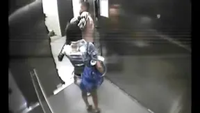 Sizzling Brunette Takes Charge Giving Blowjob to BF in Tight Elevator