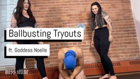 Ballbusting Tryouts | First Timer Gets Put To The Test