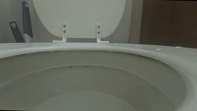 Tiny Human Fred Swimming in Evil Giantess Toilet POV 4K smaller