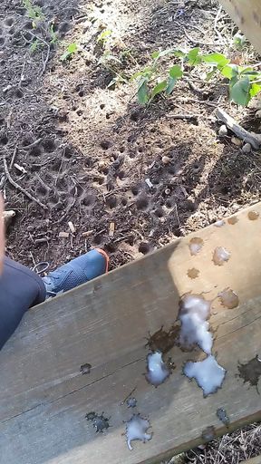 Outdoor nature cum