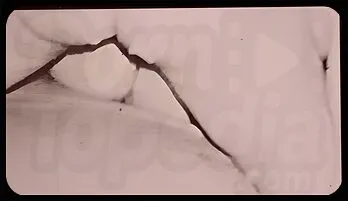 Raucous Retro Rendezvous: Busty Babes Unleash Their Wild Side 2024 edition