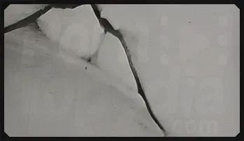 Raucous Retro Rendezvous: Busty Babes Unleash Their Wild Side