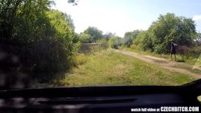 Mirek Takes Mature Busty Whore on Public